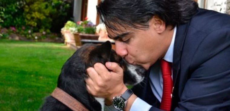 marco-y-perros-abandonados-la-clase-politica-no-tiene-sensibilidad-por-el-tema