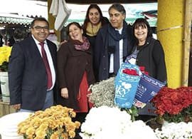 marco-en-gira-recorriendo-el-sur-de-chile