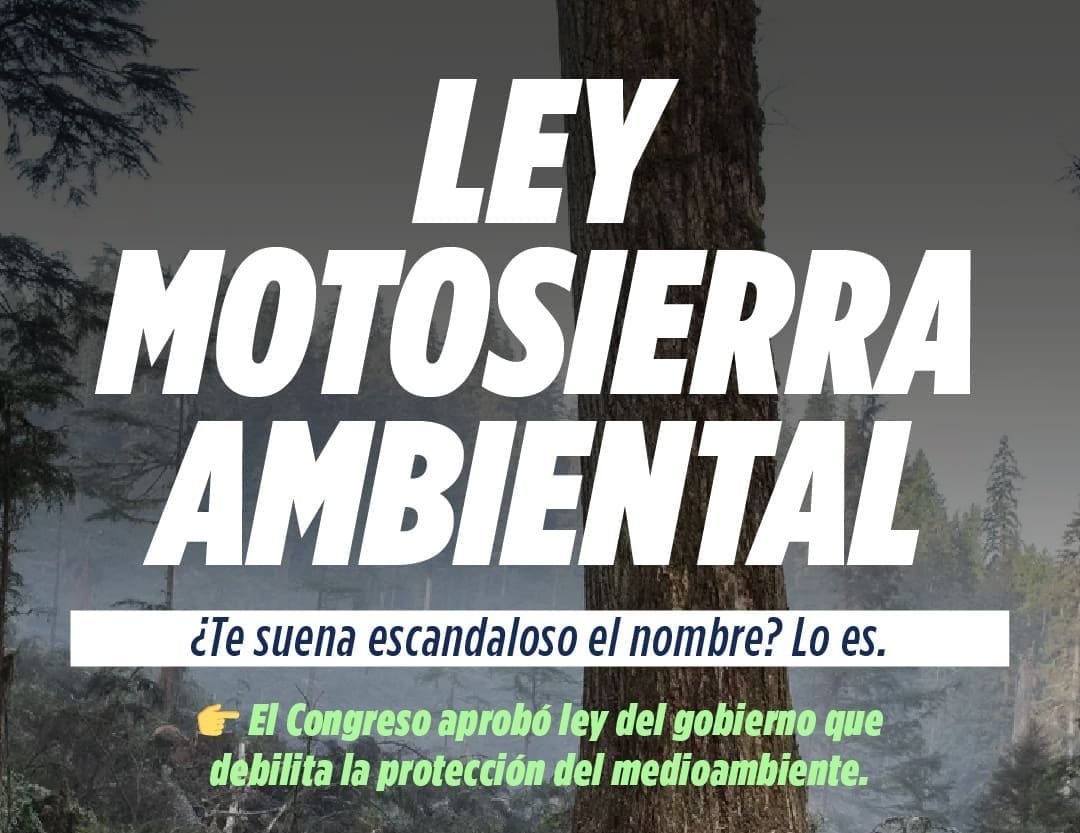 la-ley-motosierra-ambiental