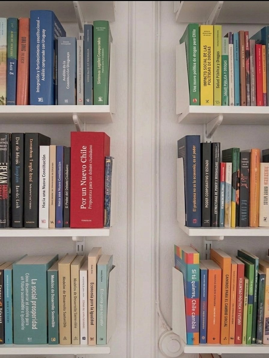 Libros de ideas y propuestas